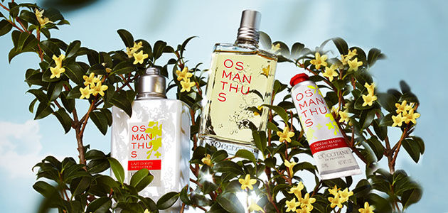 Osmanthus Perfume Collection For Women | L'OCCITANE IE