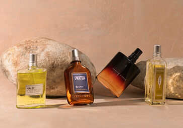 Image showing L'OCCITAN Eau de cedrat Eau de Toilette, L'OCCITANE L'occitan Eau de toilette, L'OCCITAN Karite Corse Eau de toilette & L'OCCITAN Classic Verbena Eau de Toilette