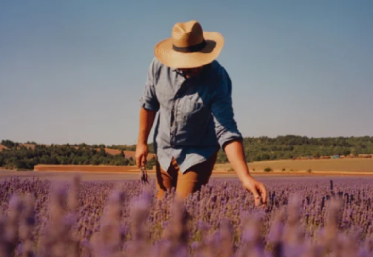The Benefits of Lavender!
