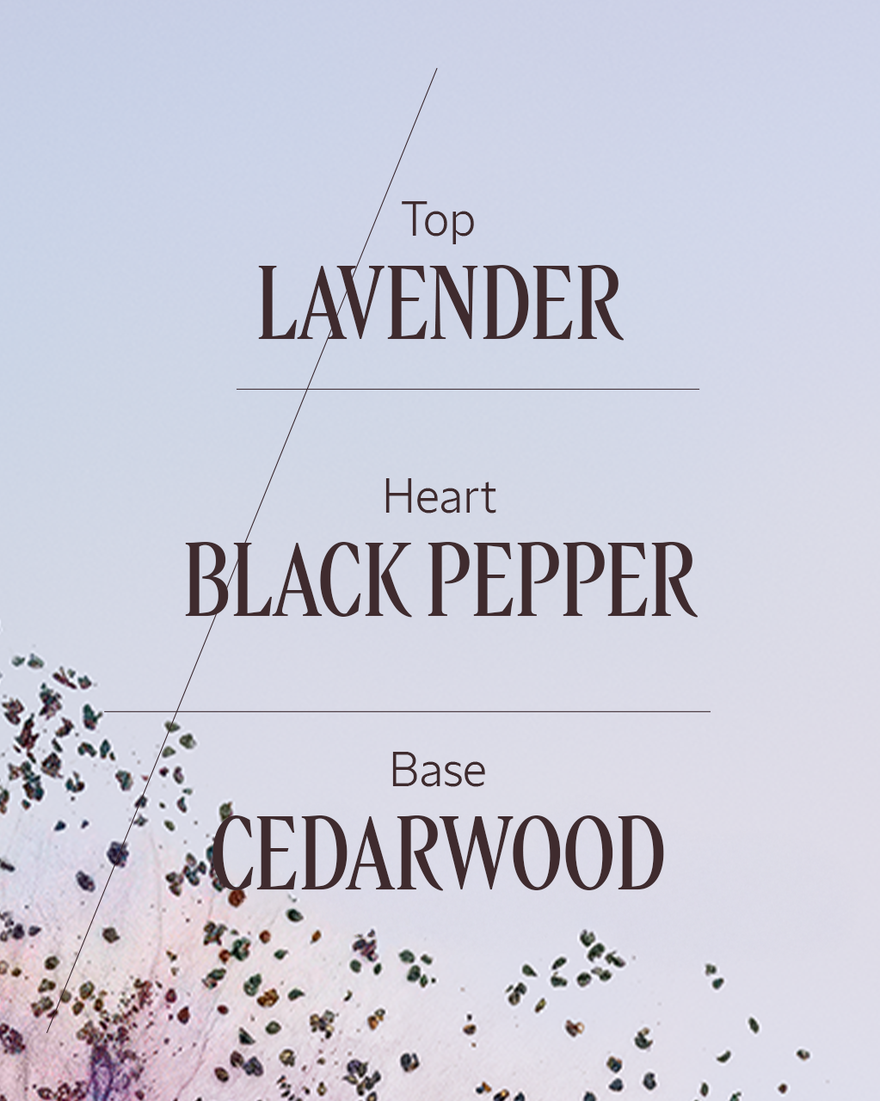 view 3/3 of Lavande Poivre Noir (Formerly L&rsquo;Occitan) Fragrance Collection, , RECT