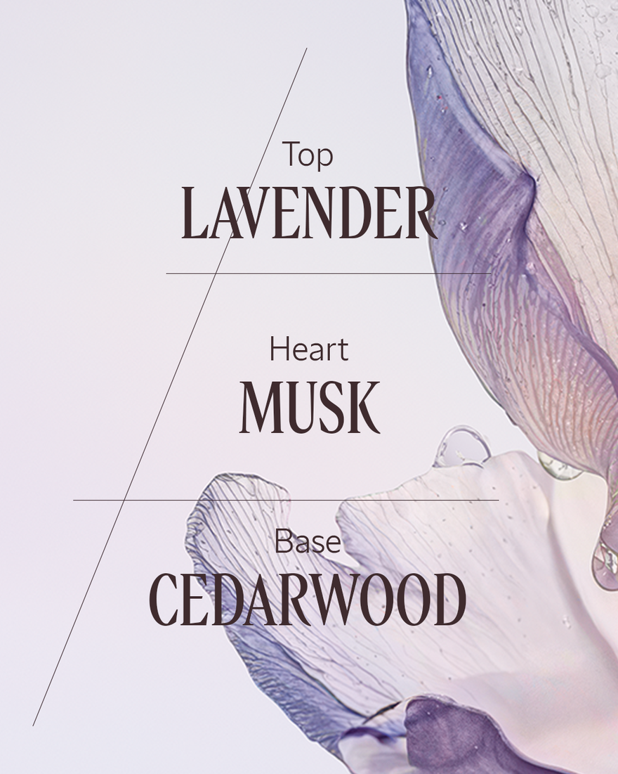 view 3/3 of Lavande Blanche Fragrance Collection, , RECT