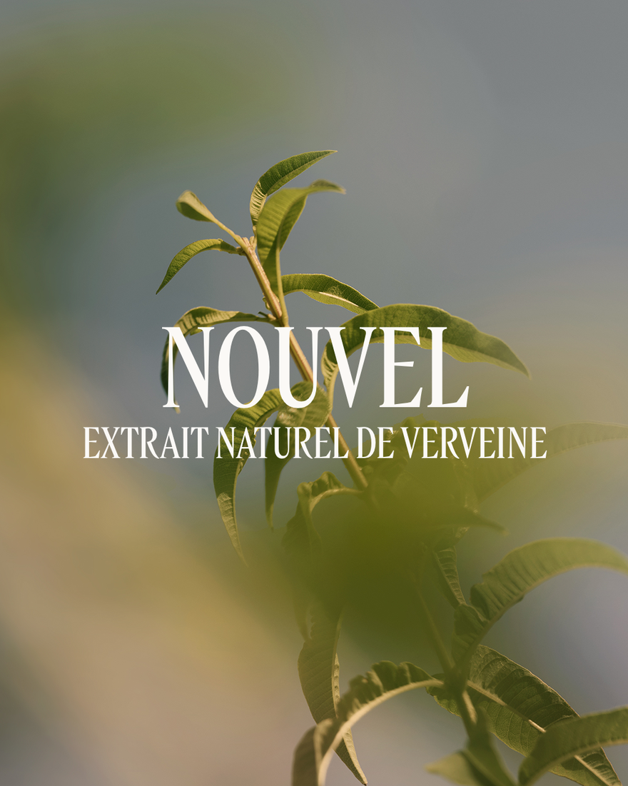Verbena (Verbena) Shower Gel 500ml | L'Occitane
