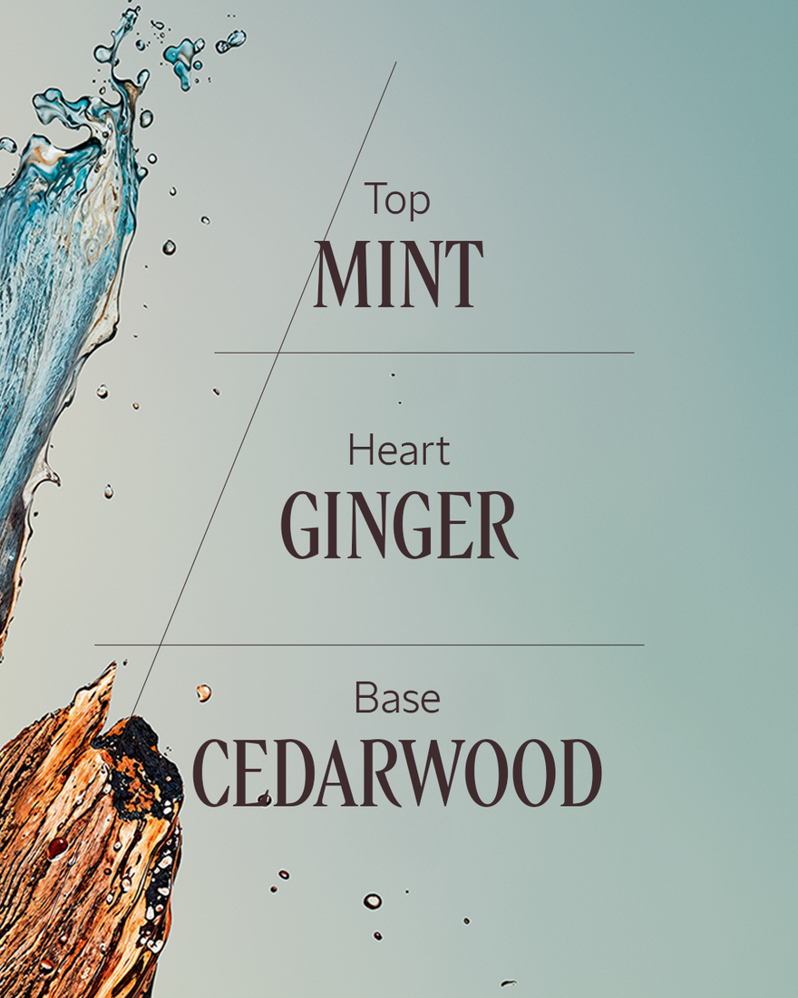 view 3/3 of C&egrave;dre Gingembre (Formerly Cap Cedrat) Fragrance Collection, , RECT