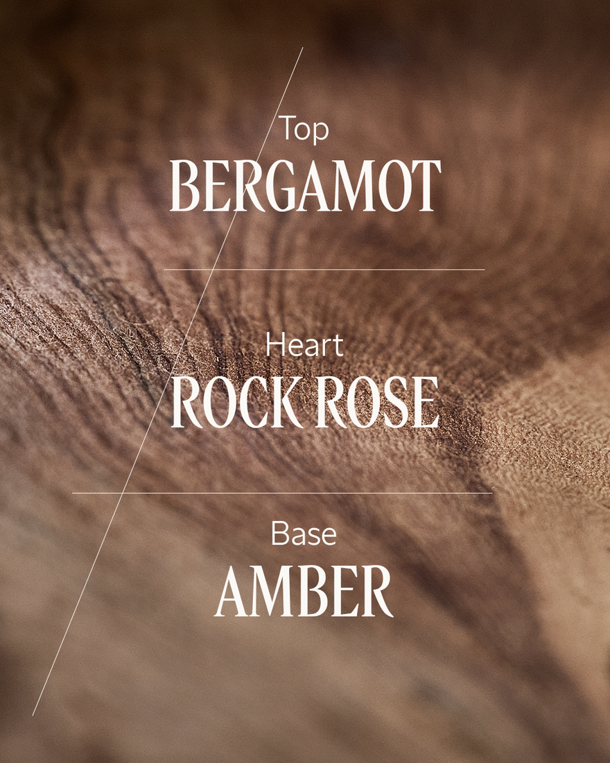 view 4/6 of Ambre Eau de Parfum, , RECT