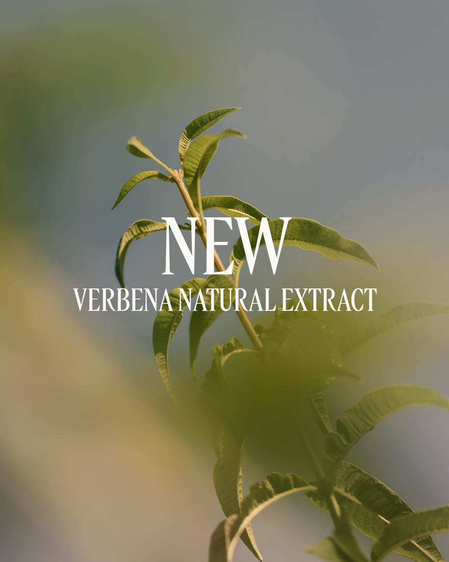 view 4/5 of Verbena Refreshing Hair & Body Mist, , RECT