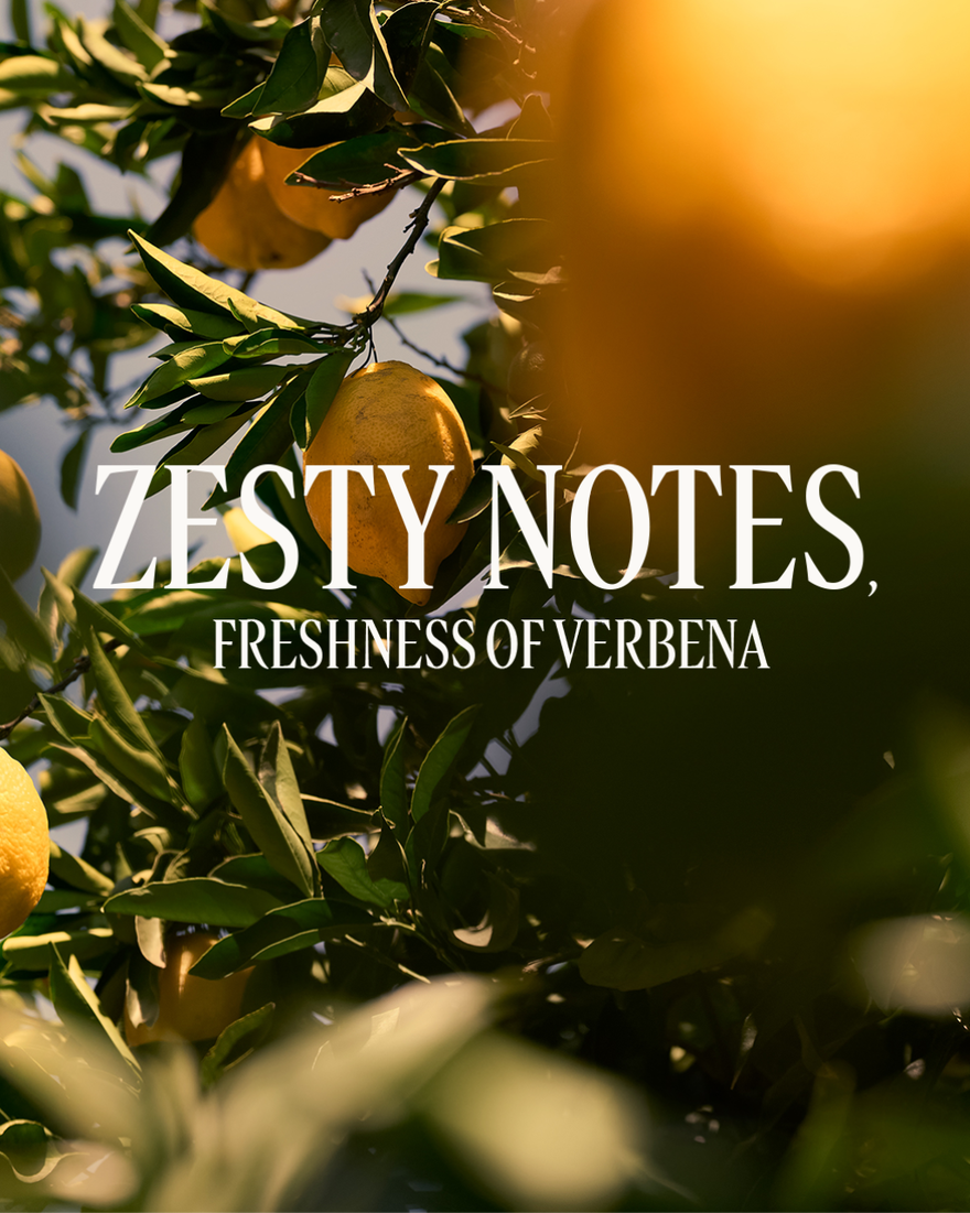 view 4/4 of Verveine Agrumes (Citrus Verbena) Shower Gel, , RECT