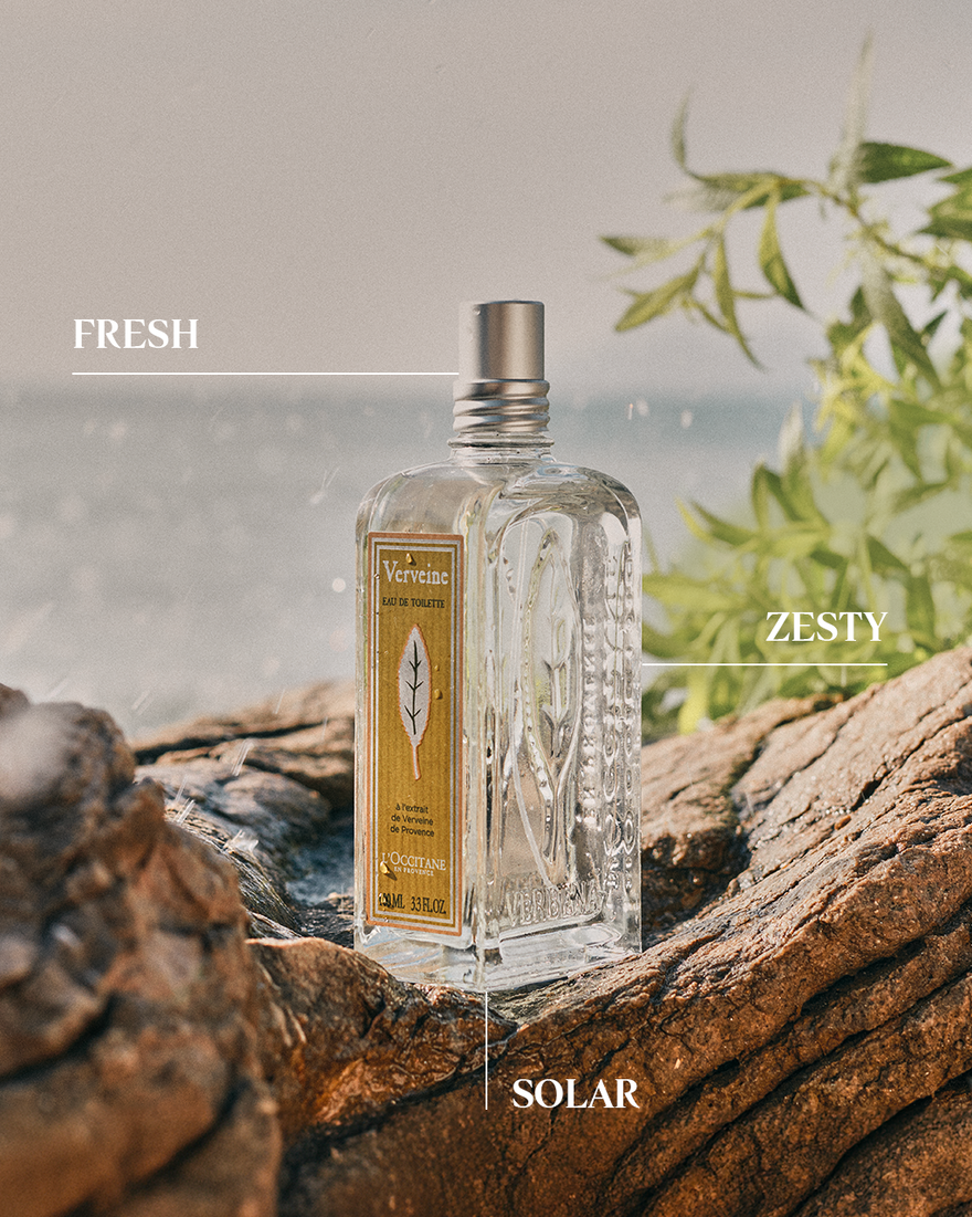 Classic Verbena Eau de Toilette 100ml | L'OCCITANE IE