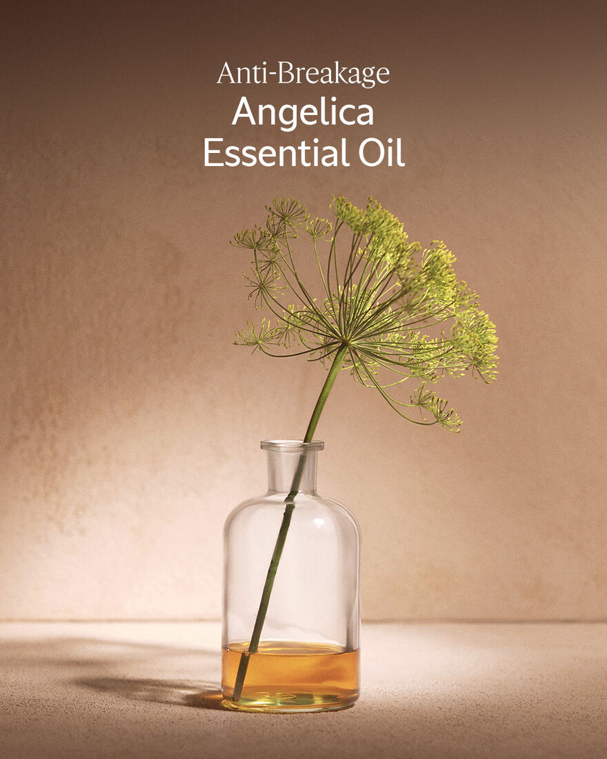view 5/6 of Intensive Repair Enriched Infused Oil (L), , RECT