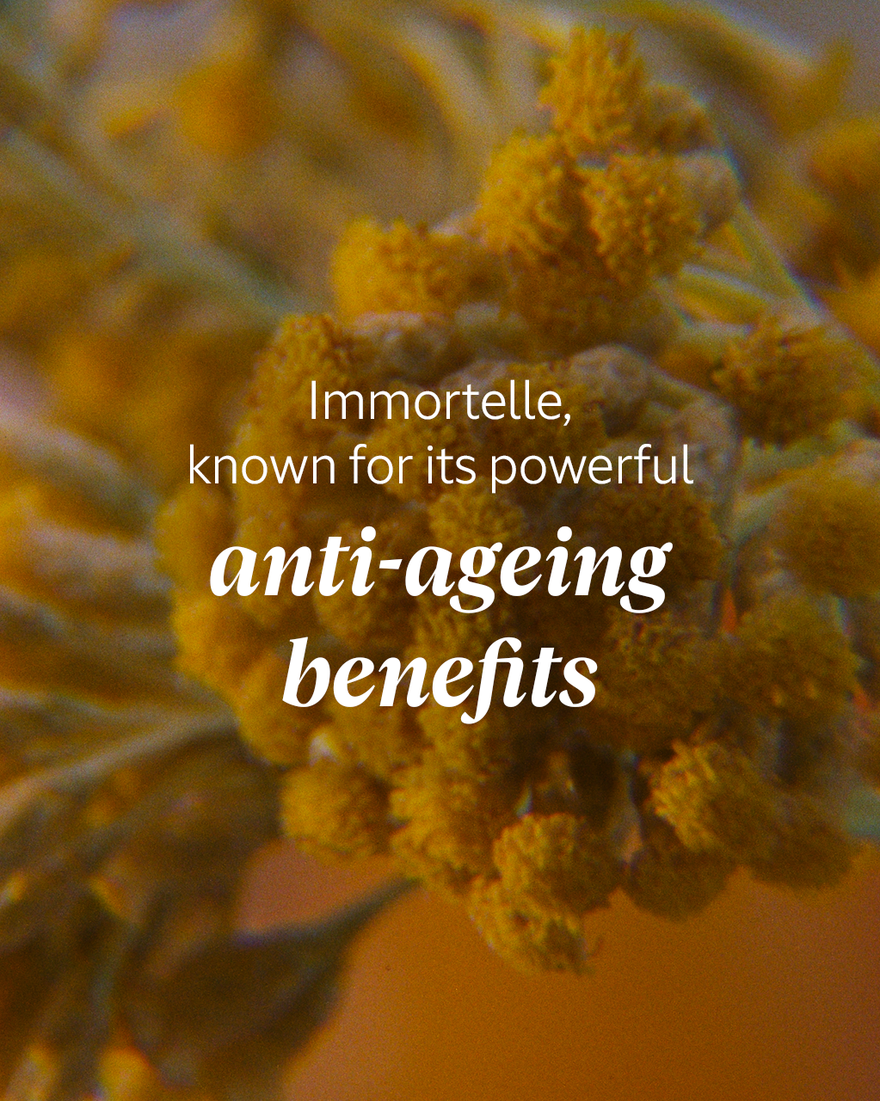 view 5/8 of Immortelle Shea Neck Cream, , RECT