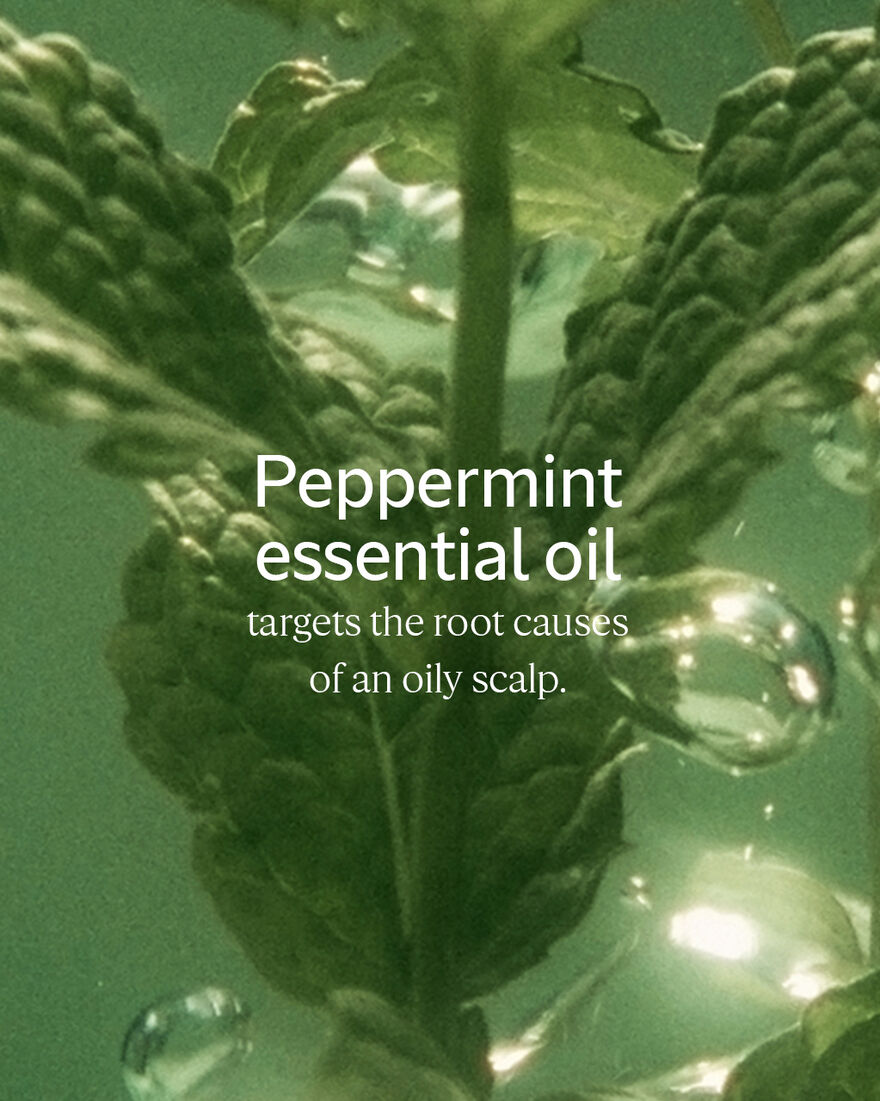 view 5/5 of Purifying Freshness Shampoo Refill, , RECT